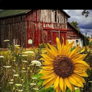 Meet your Posher, Felise